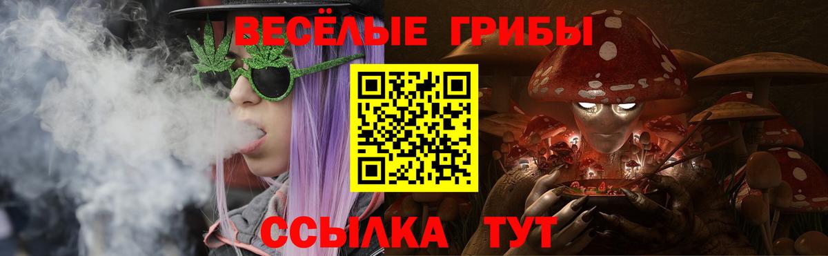 Галлюциногенные грибы Cubensis Карпинск